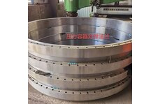 國標(biāo)對焊法蘭